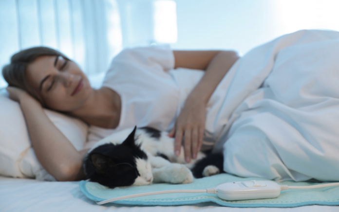Seeing Animals in Your Dreams