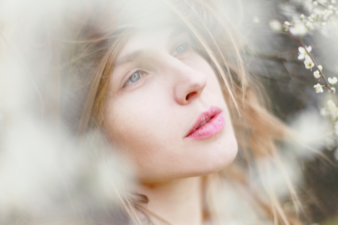 Lucid Dream Lucid Dream