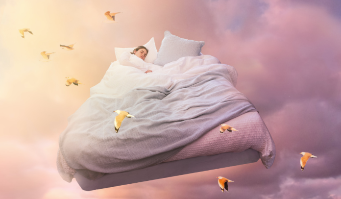Bird Dream